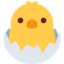 :hatching_chick: 🐣