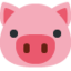 :pig: 🐷