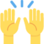 🙌